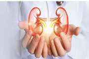 The effect of pre-transplant psychosocial problems on kidney transplantation outcomes