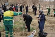 برگزاری دومین آیین هفته درخت کاری به یاد اهداکنندگان زندگی با کاشت بیش از ۲۰۰ نهال در بوستان محله شریعتی شمالی منطقه ۱۹