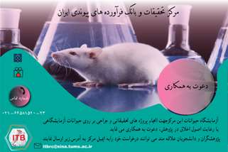 آزمایشگاه حیوانات